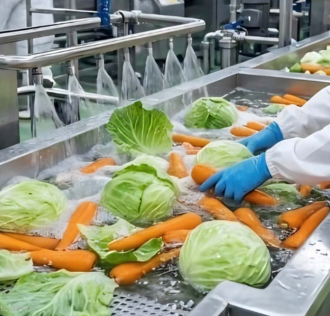 Factory Washing Process
